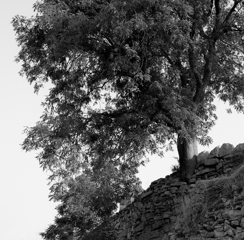 view big picture